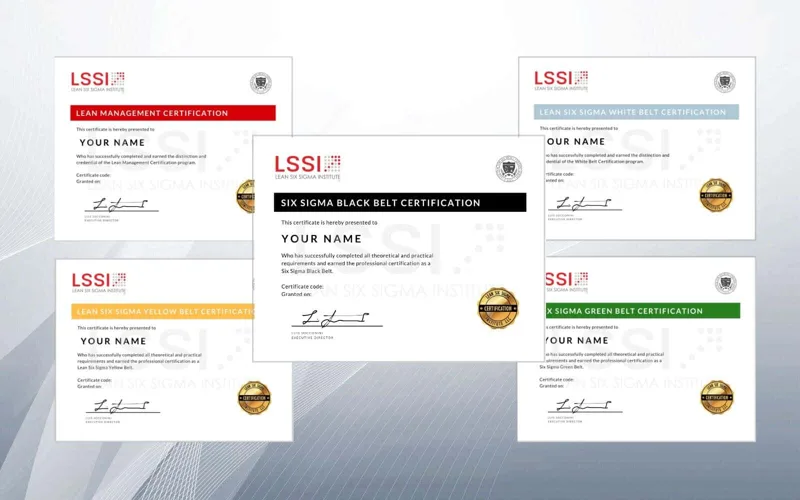 Lean Six Sigma Black Belt Bundle
