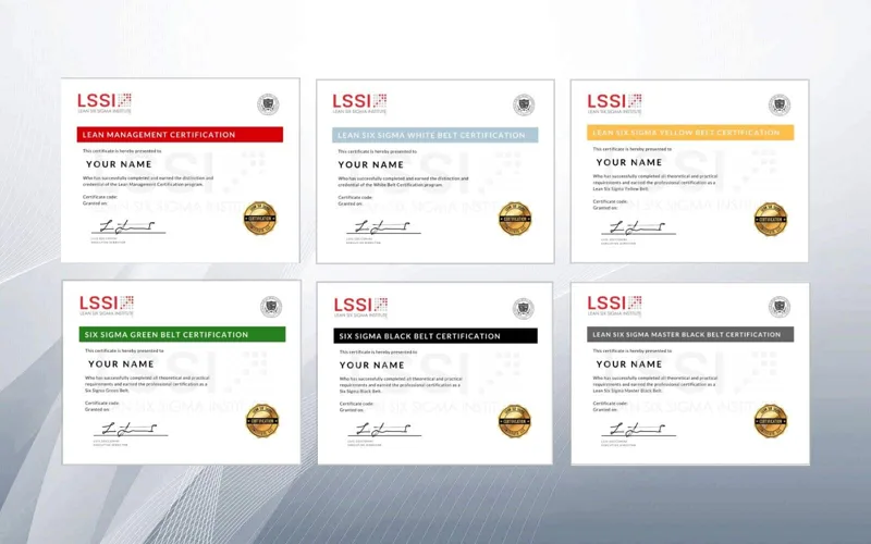 Lean Six Sigma Master Black Belt Bundle