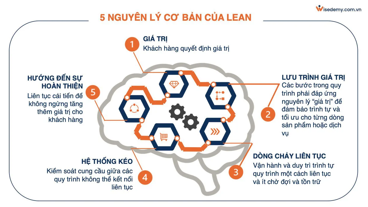 5 Nguyên Lý Lean